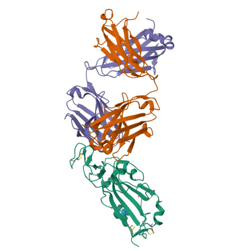 RCSB PDB - 8QH1: Crystal structure of the SARS-CoV-2 RBD from the ...