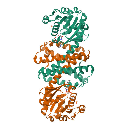 Rcsb Pdb 8qhe Crystal Structure Ir 09 Rcsb Pdb 8qhe Crystal Structure Ir 09
