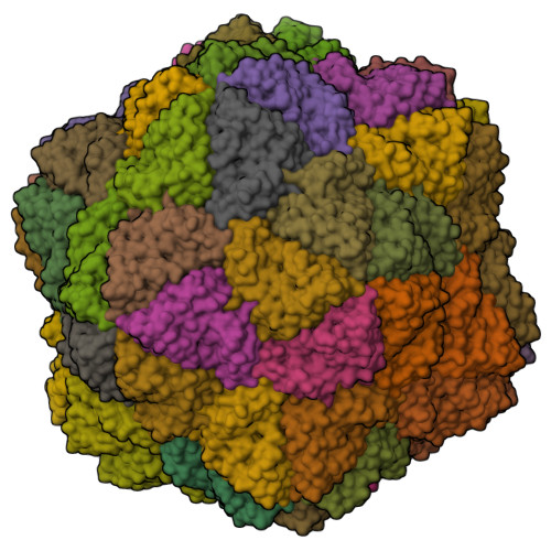 Structure 8QKP