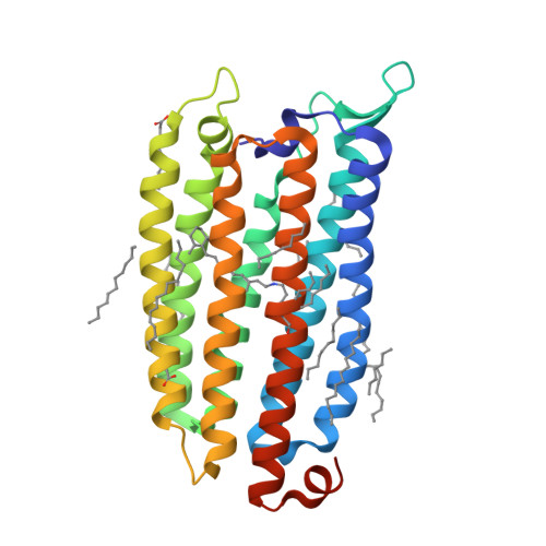 RCSB PDB - 8QLE: Crystal structure of the light-driven sodium pump ...