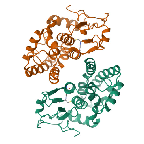 cjc-1295 ipamorelin vivid dreams side effect Ipamorelin Side Effects: complete guide to safety, risks, and management