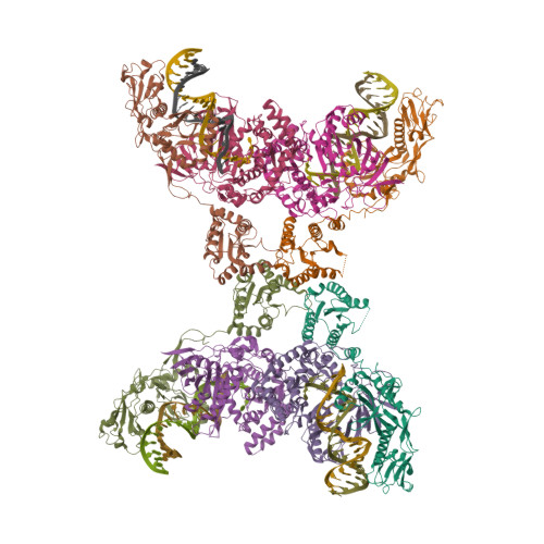 RCSB PDB - 8QLP: CryoEM structure of the RNA/DNA bound SPARTA (BabAgo ...