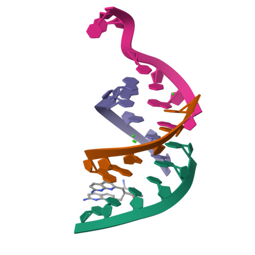 Rcsb Pdb 8qmh Crystal Structure Of Rna G2c4 Repeats In Complex With