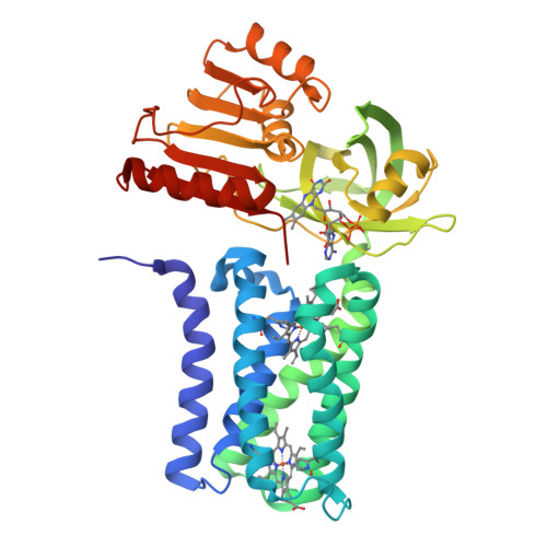 RCSB PDB - 8QQ7: Structure of SpNOX: a Bacterial NADPH oxidase