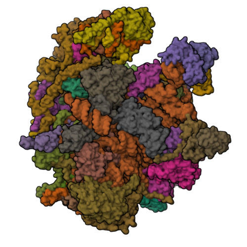RCSB PDB - 8QSJ: Human mitoribosomal large subunit assembly ...