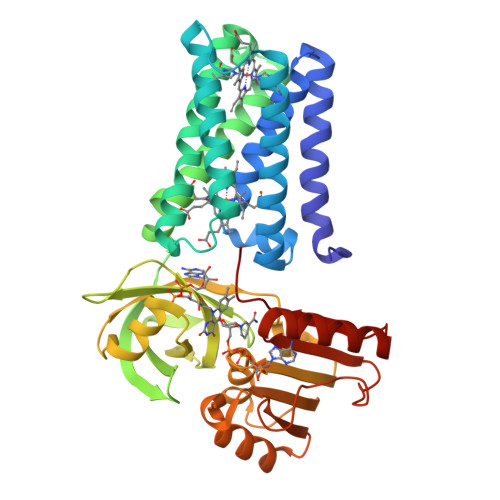 RCSB PDB - 8QT7: Cryo-EM structure of Streptococcus pneumoniae NADPH ...