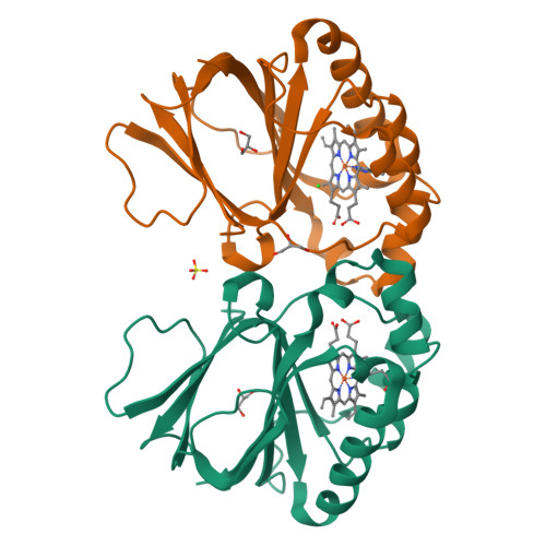 RCSB PDB - 8QUU: Crystal structure of chlorite dismutase at 3000 eV ...