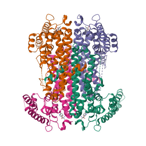 Rcsb Pdb 8qv7 Crystal Structure Of Human Tdo With Alpha Methyl L Tryptophan 6892