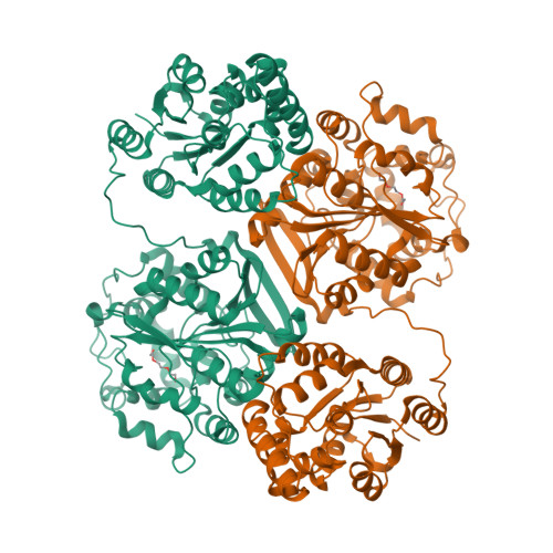 RCSB PDB - 8QVM: Comparison of room-temperature and cryogenic ...