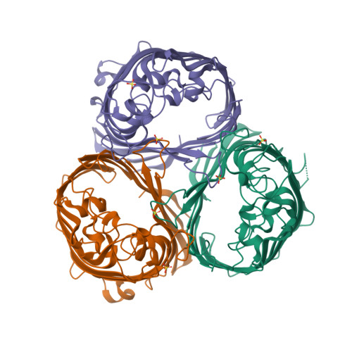 RCSB PDB - 8QVS: Crystal Structure Of Ompk36 GD At 3500 EV Based On A ...