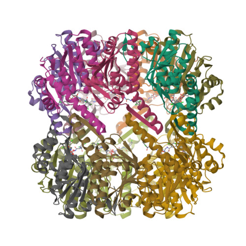 Rcsb Pdb 8qyf Crystal Structure Of Clpp From Staphylococcus Epidermidis In Complex With Ixazomib 7429