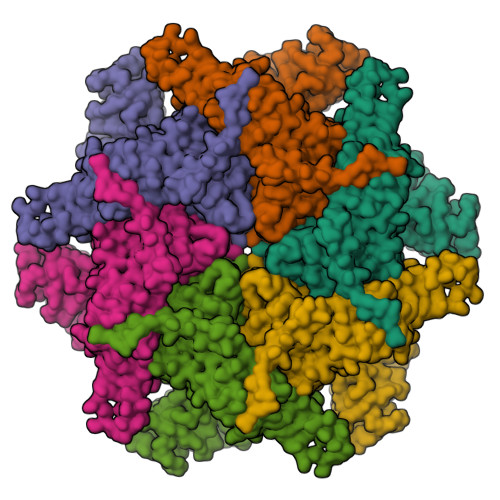 RCSB PDB - 8R0E: p97 (VCP) mutant - F266A