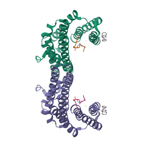 RCSB PDB - 8R0Z: 14-3-3 sigma in complex with TAZ peptide