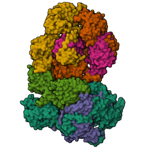 RCSB PDB - 8R1J: Structure of avian H5N1 influenza A polymerase dimer ...