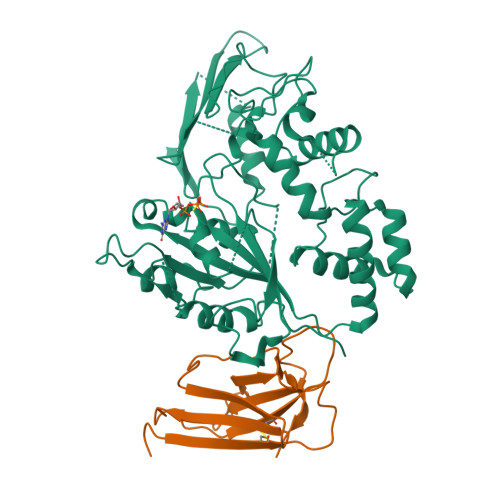 RCSB PDB - 8R4D: Focused map on the Roc-COR domains of the Roco protein ...