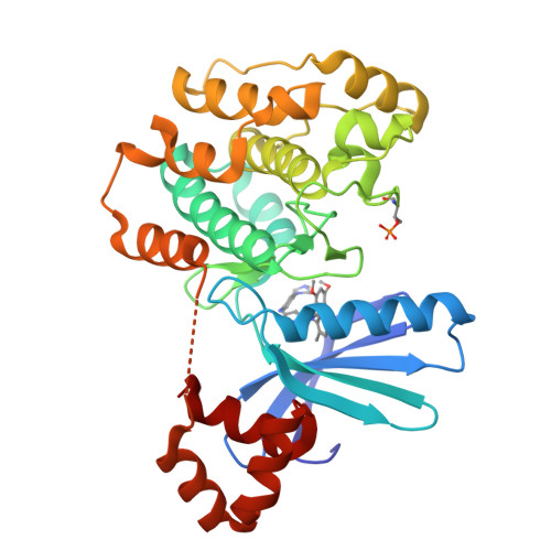 RCSB PDB - 8R4V: Structure of Salt-inducible kinase 3 in complex