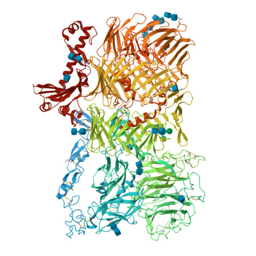 RCSB PDB - 8R54: Mouse teneurin-3 non-compact subunit - A0B0 isoform