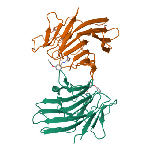 Rcsb Pdb 8r5b Crystal Structure Of Human Trim7 Pryspry Domain Bound Rcsb Pdb 8r5b Crystal Structure Of Human Trim7 Pryspry Domain Bound