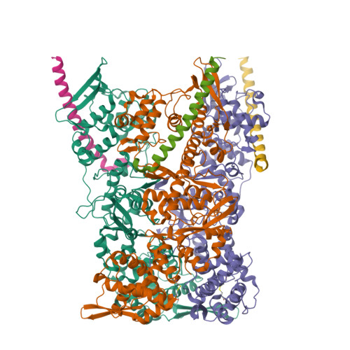 RCSB PDB - 8R5I: In situ structure of the Vaccinia virus (WR) A4/A10 ...