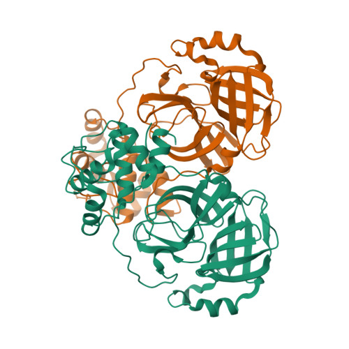 EMD-8064 (RSCB PDB 5HX2) T4 baseplate protein has similar