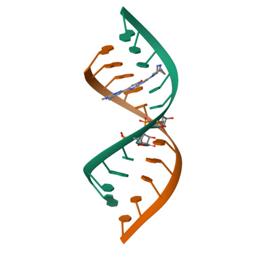 RCSB PDB - 8R62: Solution structure of Risdiplam bound to the RNA ...