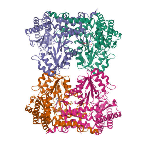 RCSB PDB - 8R7H: Cryo-EM structure of Human SHMT1