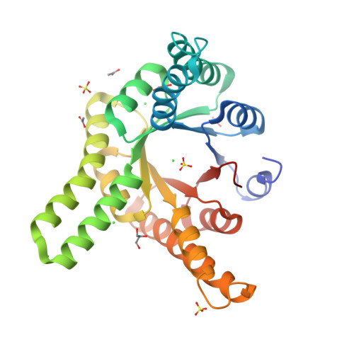 RCSB PDB - 8R8O: Hallucinated de novo TIM barrel with three helical ...