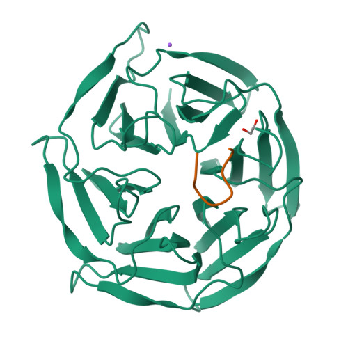 PDB 8RBH