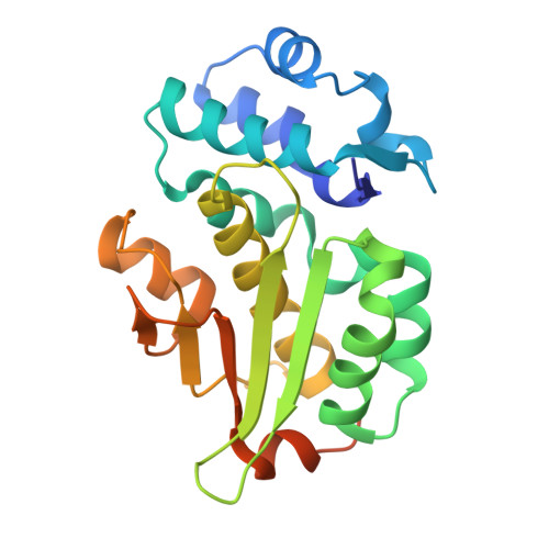 RCSB PDB - 8RCW: Crystal structure of the Mycobacterium tuberculosis ...