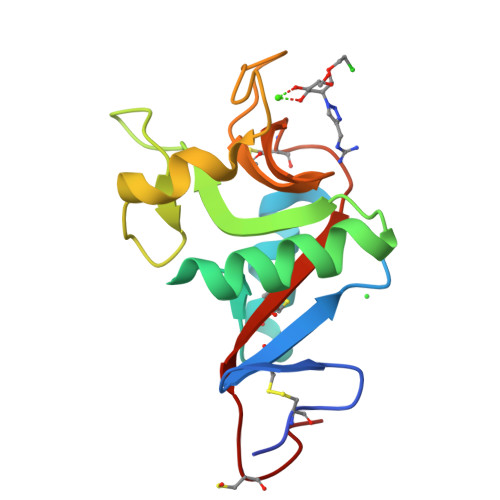 Rcy Sign RCSB PDB - 8RCY: L-SIGN CRD in complex with Man84.