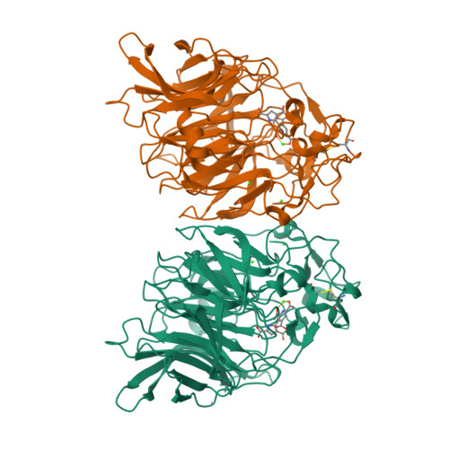rcsb pdb - 6pt7: structure of kate1 catalase from... RCSB PDB - 8RE0: Soluble glucose dehydrogenase from acinetobacter ...