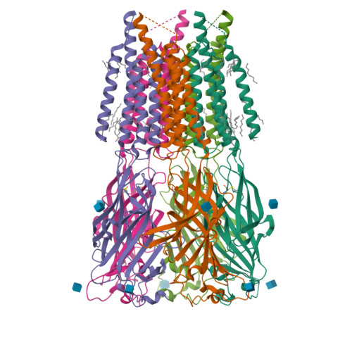 RCSB PDB - 8RH9: CryoEM structure of human rho1 GABAA receptor in ...