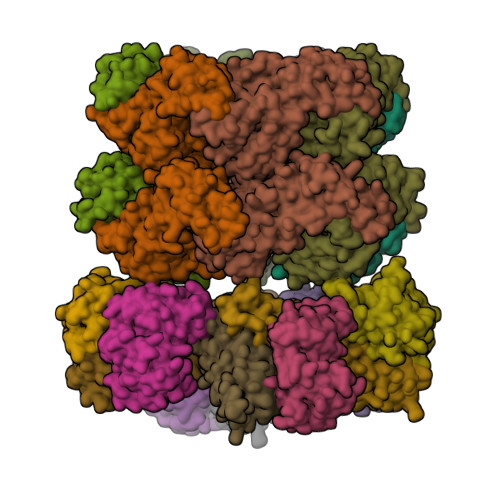 PDB 8RHN