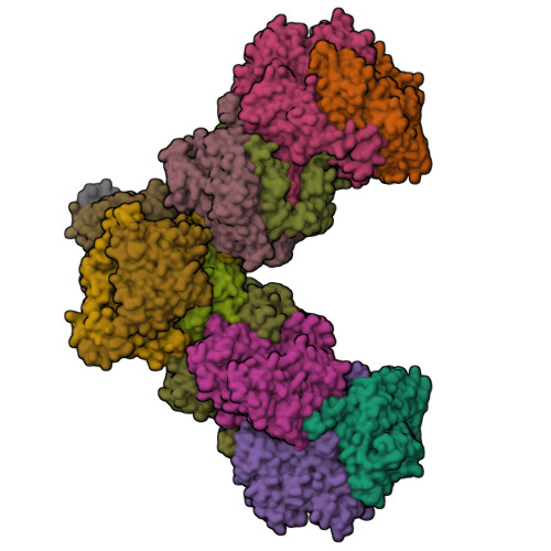 RCSB PDB - 8RHP: Cryo-EM structure of the molybdenum nitrogenase ...