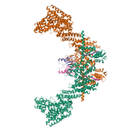 RCSB PDB - 8RHZ: Structure of CUL9-RBX1 ubiquitin E3 ligase complex in ...