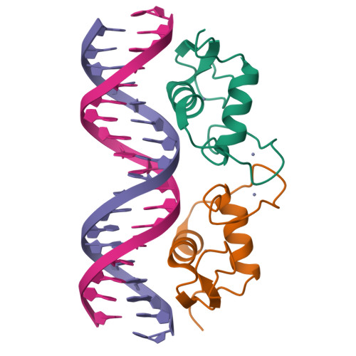 RCSB PDB - 8RM7: Crystal Structure of Human Androgen Receptor DNA ...