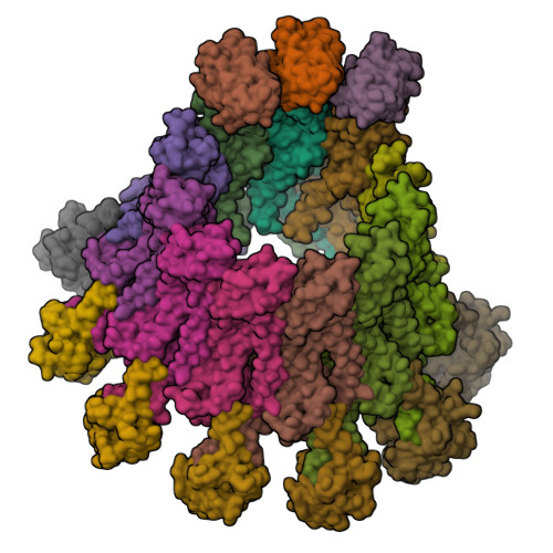 Rcsb Pdb - 8rmm: Structure Of Heteromeric Calhm2 4 Channel In Complex 