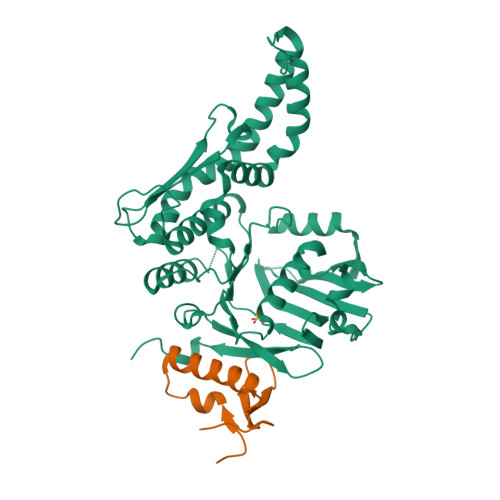 RCSB PDB - 8ROD: Human cohesin SMC1A-HD(shortCC-EQ)/RAD21-C complex ...