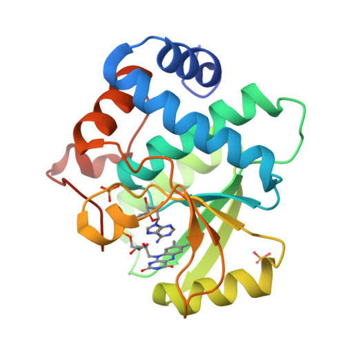 RCSB PDB - 8ROM: Crystal structure of human FAD synthase PAPS