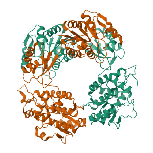 Fad – Fad! Flowers fade, but these stay fresh forever. 💐👟 The Air