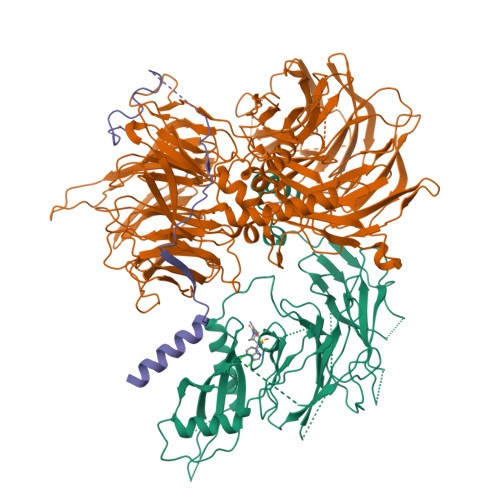 RCSB PDB - 8ROY: Structure of the human DDB1-DDA1-DCAF15 E3 ubiquitin ...