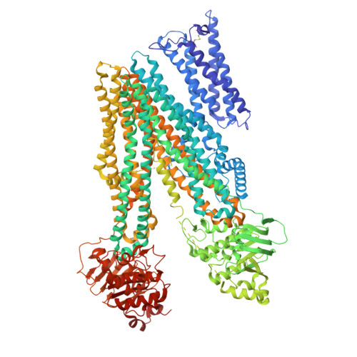 ATP-binding cassette sub-family C member 2 structure