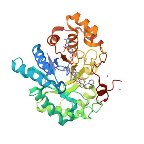 RCSB PDB - 8RRJ: The structural basis of aldo-keto reductase 1C3 ...