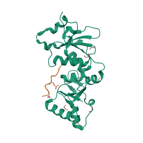 RCSB PDB - 8RS8: Crystal structure of BRCA1 BRCTs in complex with a ...