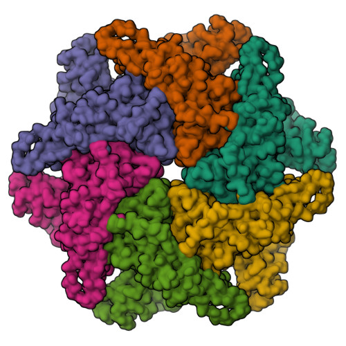 RCSB PDB - 8RS9: p97 (VCP) double mutant - F266A F539A