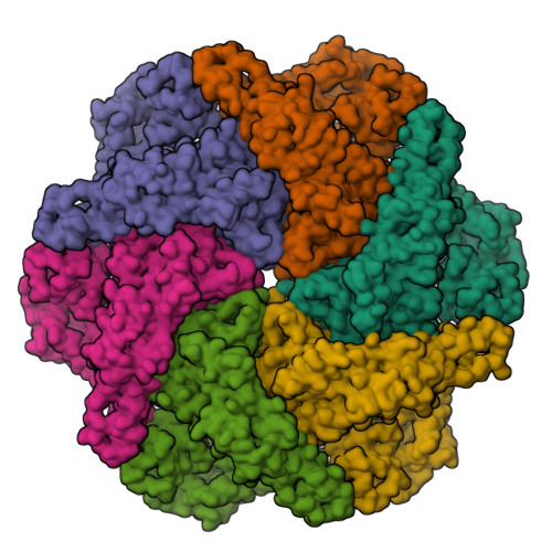 RCSB PDB - 8RSB: p97 (VCP) mutant - F539A ADP state