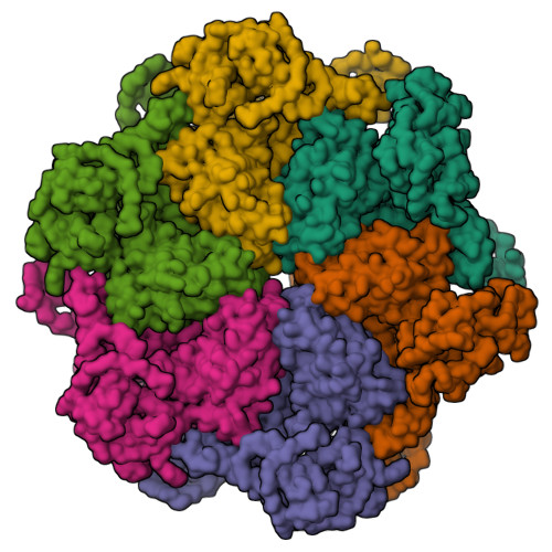 RCSB PDB - 8RSC: p97 (VCP) mutant - F539A