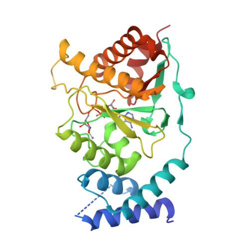 RCSB PDB - 8RSM: Crystal structure of Streptococcus pyogenes ...