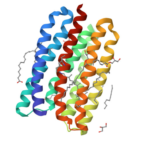 Rsp Structures RCSB PDB - 8RSP: Crystal structure of marine actinobacteria clade ...