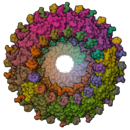 RCSB PDB - 8RT7: Conformation-B of the full-length outer membrane core ...